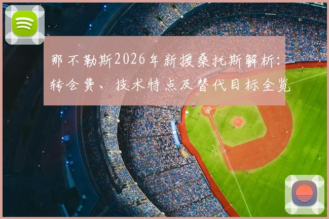那不勒斯2026年新援桑托斯解析：转会费、技术特点及替代目标全览，附葡萄牙体育时期数据