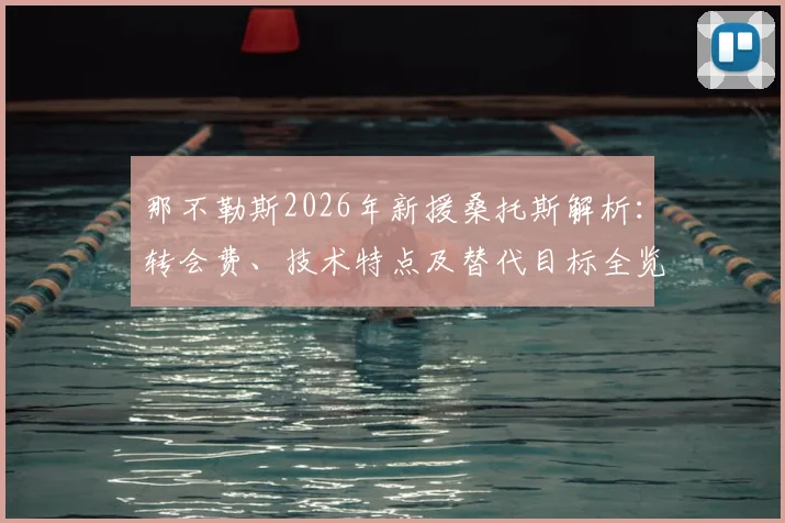 那不勒斯2026年新援桑托斯解析：转会费、技术特点及替代目标全览，附葡萄牙体育时期数据